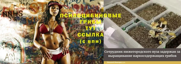 кристаллы Алзамай