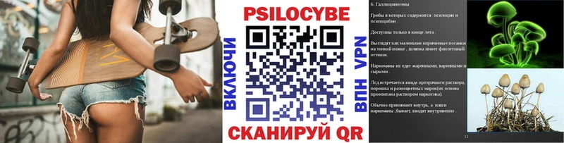 даркнет телеграм Сасово Галлюциногенные грибы GOLDEN TEACHER